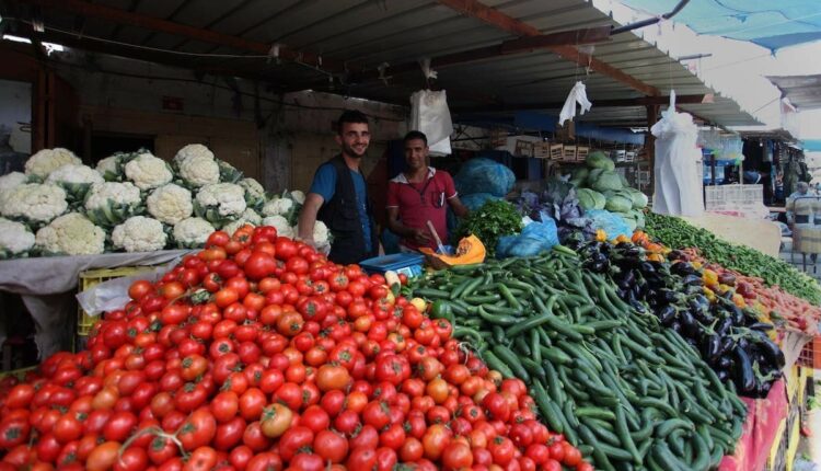 أسعار الخضروات واللحوم والدواجن في غزة الثلاثاء