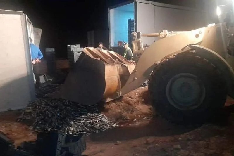 وفاة شخصين في انقلاب شاحنة أسماك بالمغرب