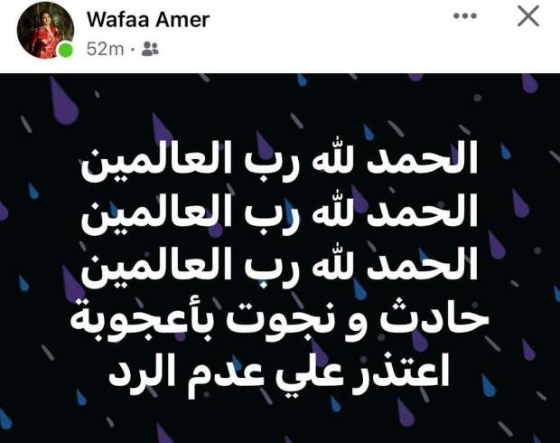 الفنانة وفاء عامر