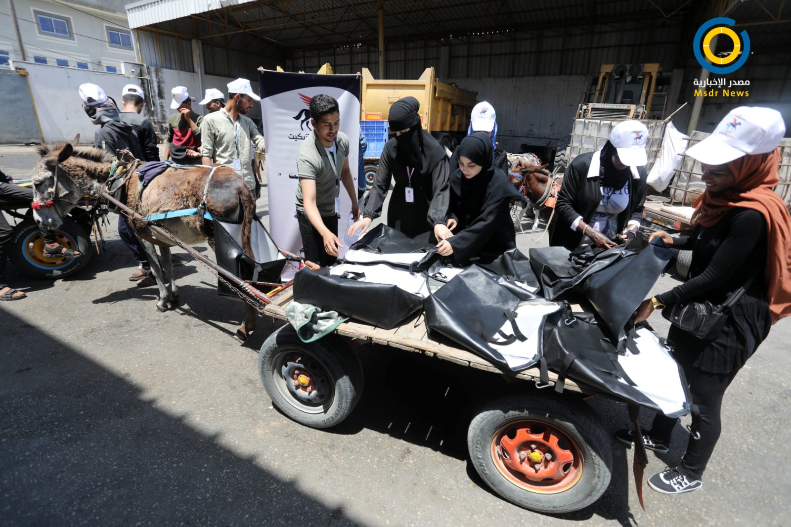 حصان على الإتيكيت