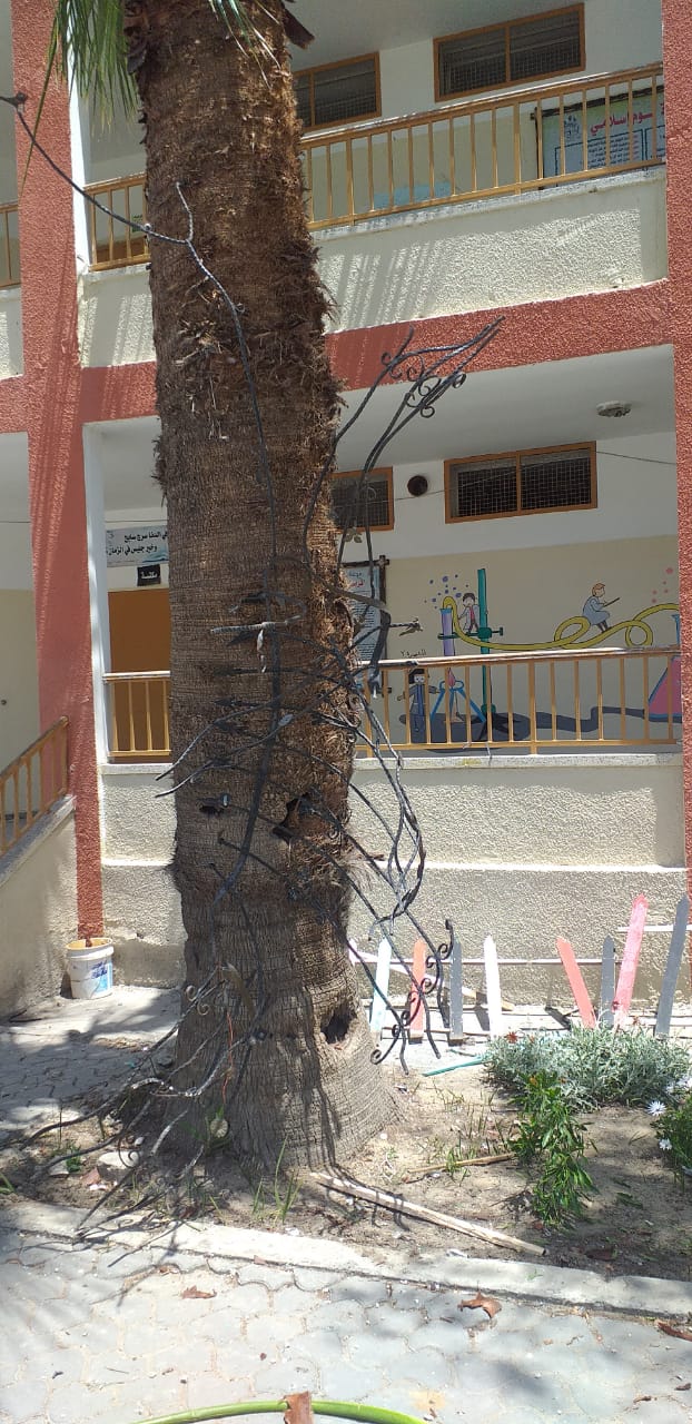 تعليم غزة: استشهاد 8 طلبة وتضرر 44 مدرسة جراء العدوان الإسرائيلي