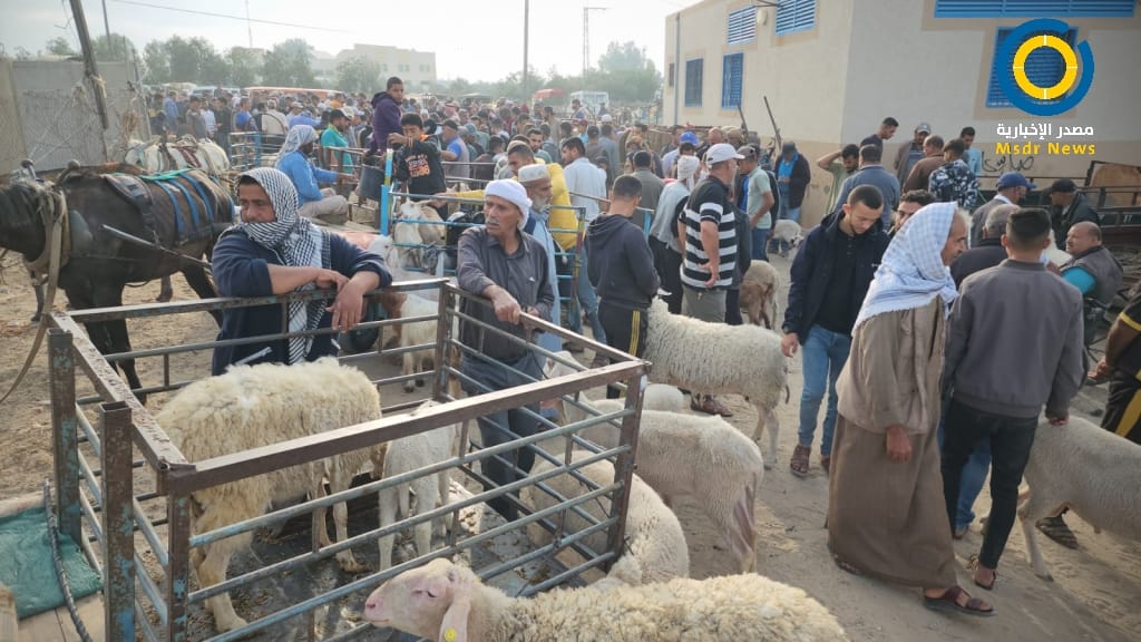الأضاحي في غزة.. القلق يملأ عيون التجار نتيجة ضعف إقبال المواطنين