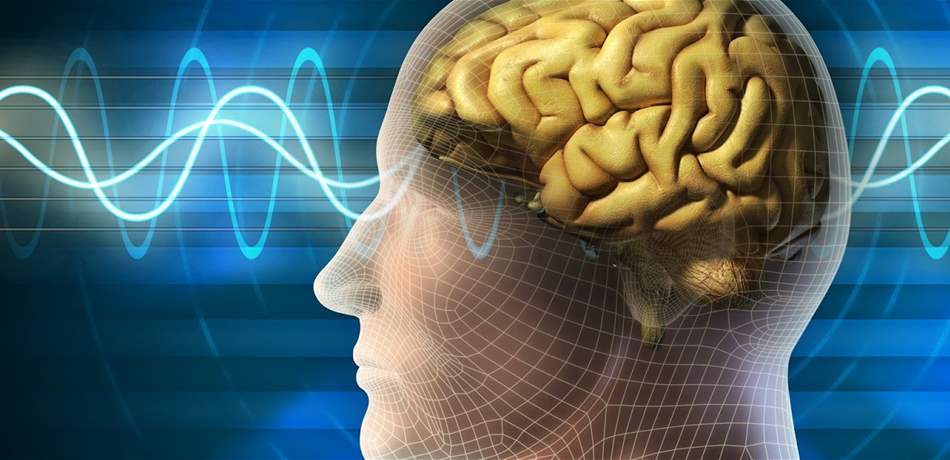 دراسة حديثة: تعلم لغة ثانية يُحسن صحة الدماغ