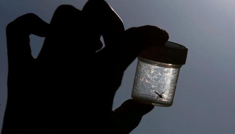 5 مصابين بالملاريا في أمريكا للمرة الأولى منذ 20 عامًا