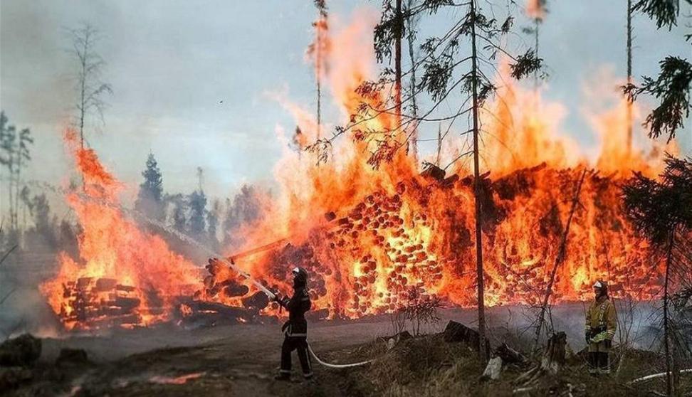 وفاة 14 شخصًا في حرائق غابات في كازاخستان