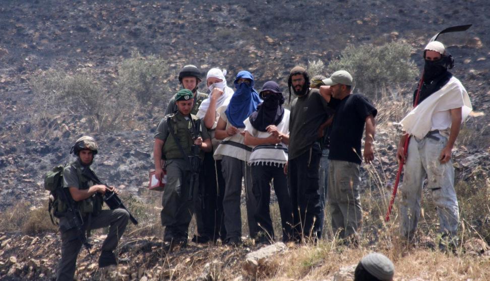 مستوطنون يقطعون عددًا من أعمدة الكهرباء جنوب نابلس