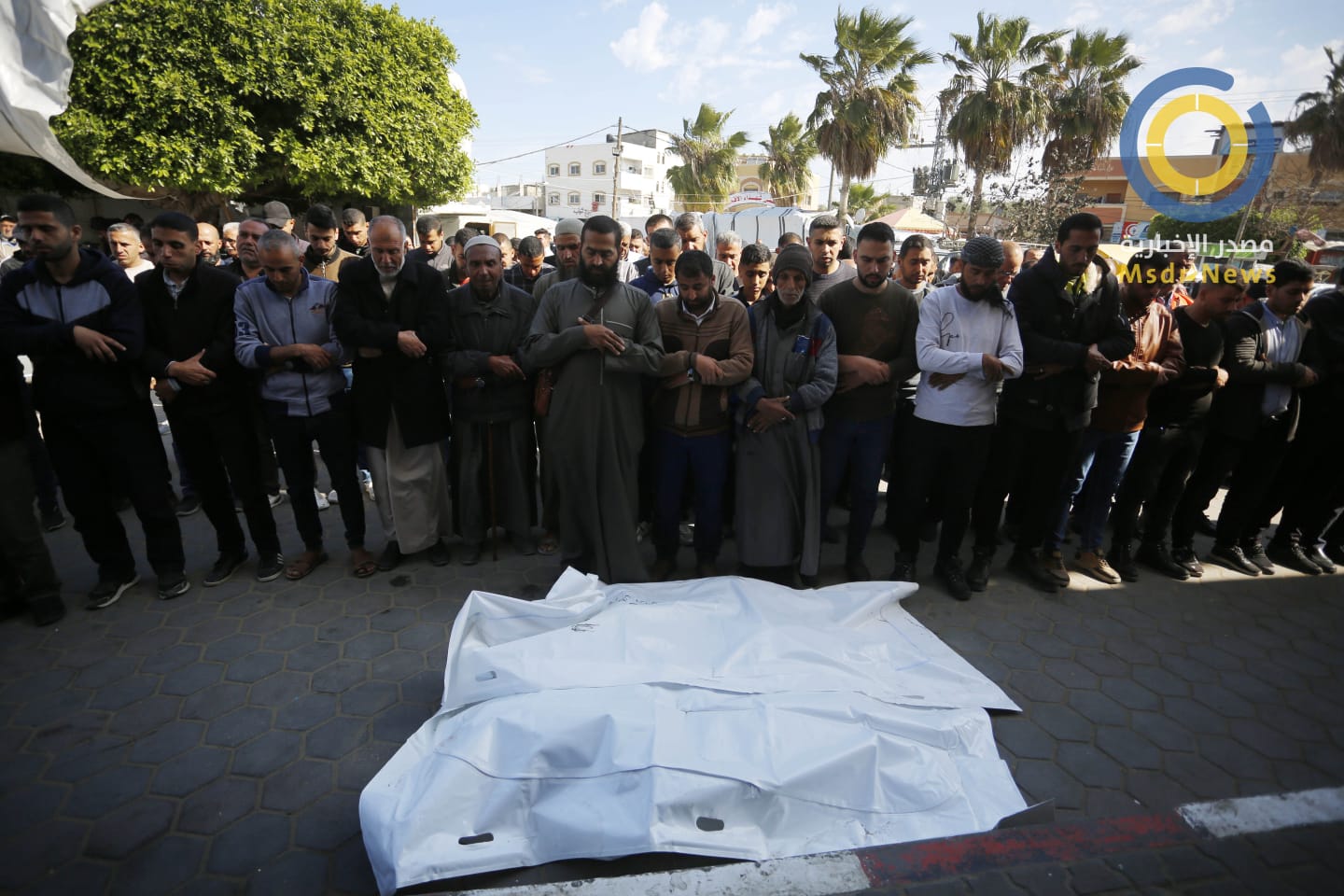 الاحتلال ارتكب 3 مجازر في غزة خلال 24 ساعة