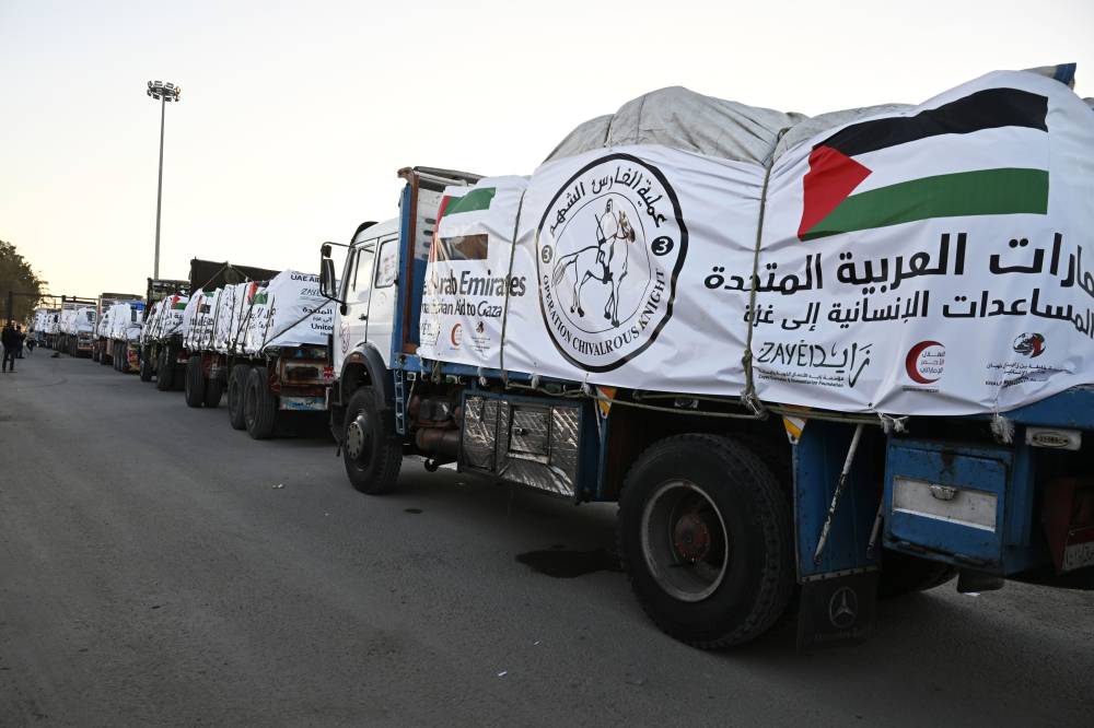 بالفيديو: عملية الفارس الشهم 3 تُنفذ مبادرة توزيع الدجاج على الأسر الفلسطينية في خانيونس