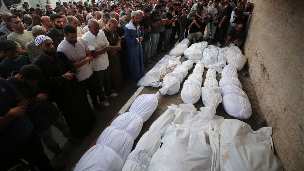 مجازر إسرائيلية مستمرة.. 43 شهيداً و115 مصابًا خلال 24 ساعة بغزة