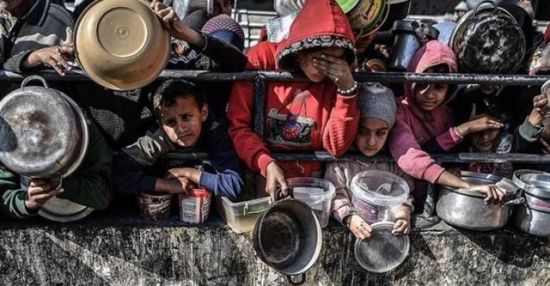 الأغذية العالمي: قلقون إزاء وقف الولايات المتحدة تمويل المساعدات الغذائية الطارئة