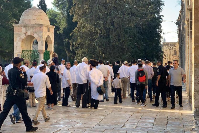 محافظة القدس: 5 شهداء و(239) حالة اعتقال خلال الربع الأول من العام الجاري