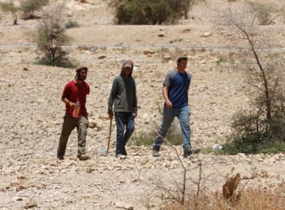 عرب مليحات