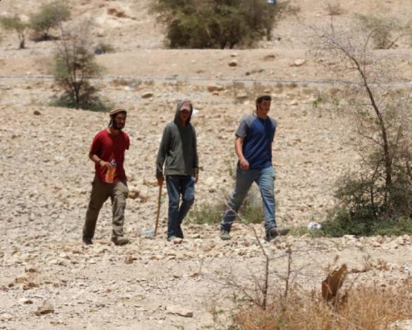 مستوطنون يهاجمون تجمع عرب المليحات شمال أريحا