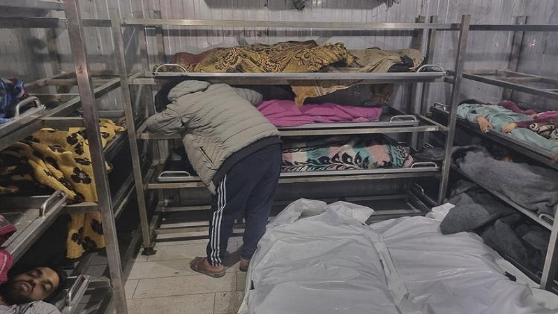 في غضون 24 ساعة: 53 شهيدا بنيران وغارات الاحتلال على قطاع غزة