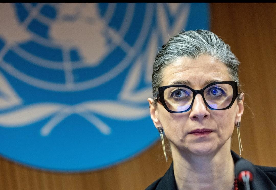 اختيار المقررة الخاصة للأمم المتحدة فرانشيسكا ألبانيز شخصية العام 2025