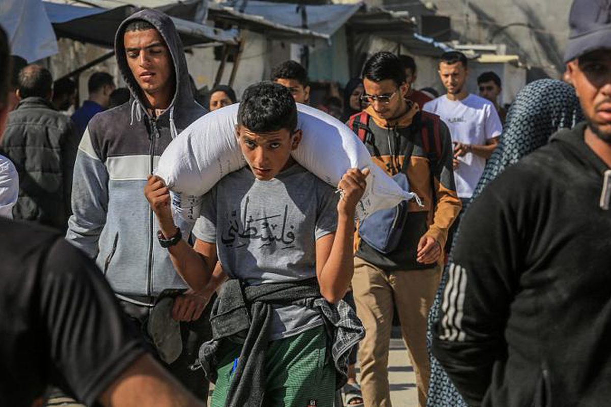 الإحصاء: شباب فلسطين بين الأمل والصمود في وجه تحديات غير مسبوقة