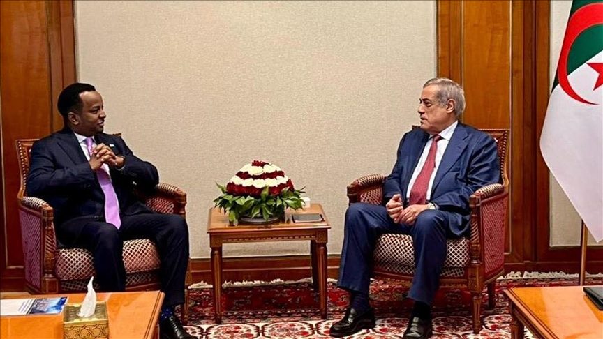 الجزائر والصومال: ملتزمون بالتنسيق لدعم القضية الفلسطينية