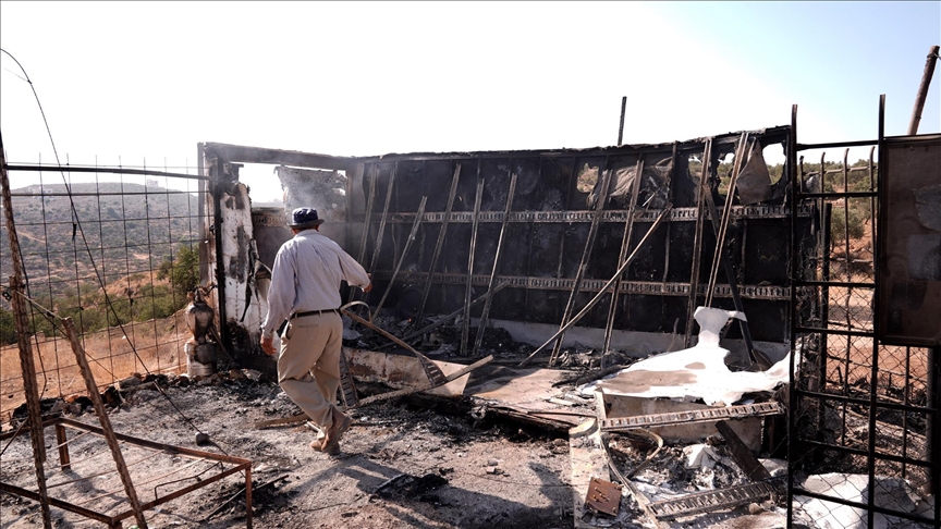 مستوطنون إسرائيليون يعتدون على فلسطينيين وممتلكات بالضفة