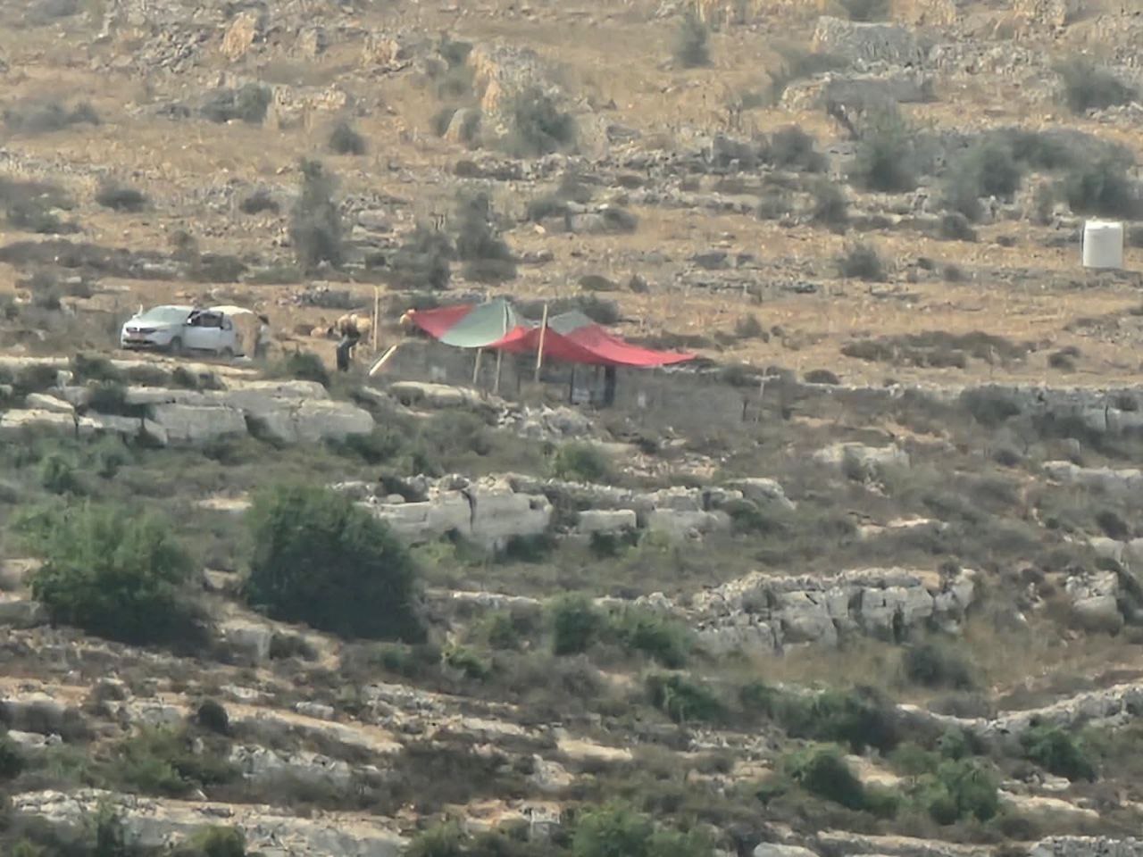 مستوطنون يعيدون بناء بؤرة استيطانية على أراضي عطارة شمال رام الله