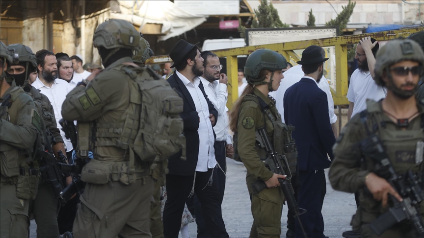 بعد إجرام مستوطنين.. فلسطينيون في خلة الضبع يتمسكون بأرضهم